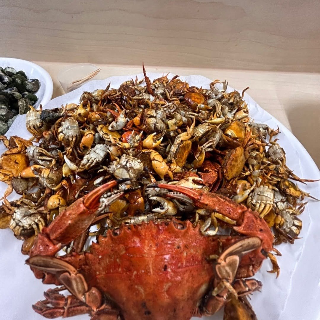 Photo by 남해서울농장 on May 20, 2024.