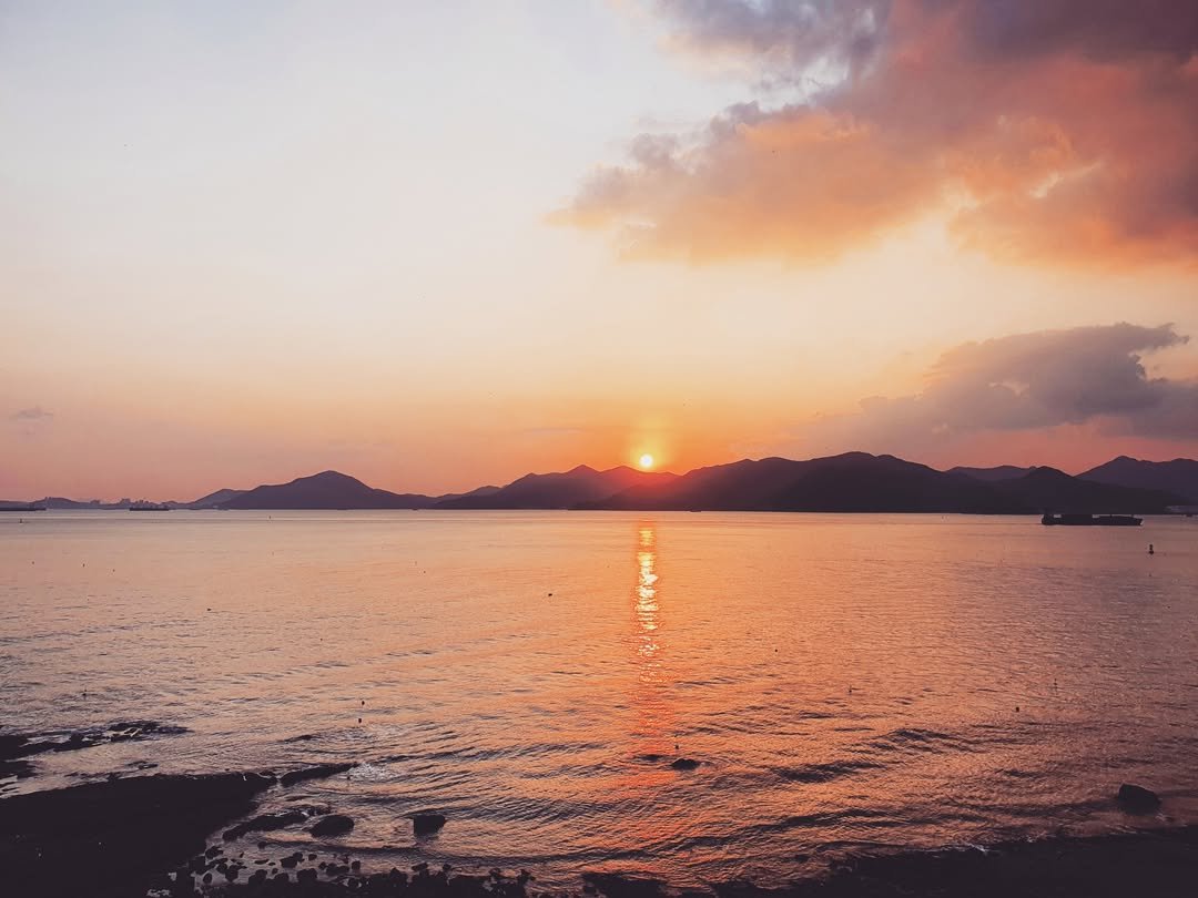 Photo by 남해서울농장 on September 19, 2024.