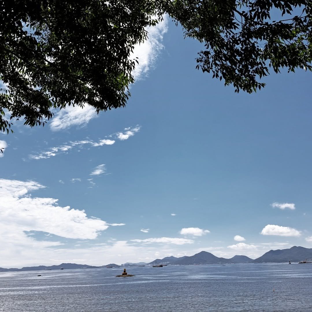 Photo by 남해서울농장 on July 21, 2024.