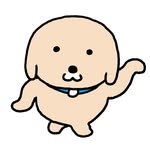 namsee.jpg 인스타그램 프로필 사진