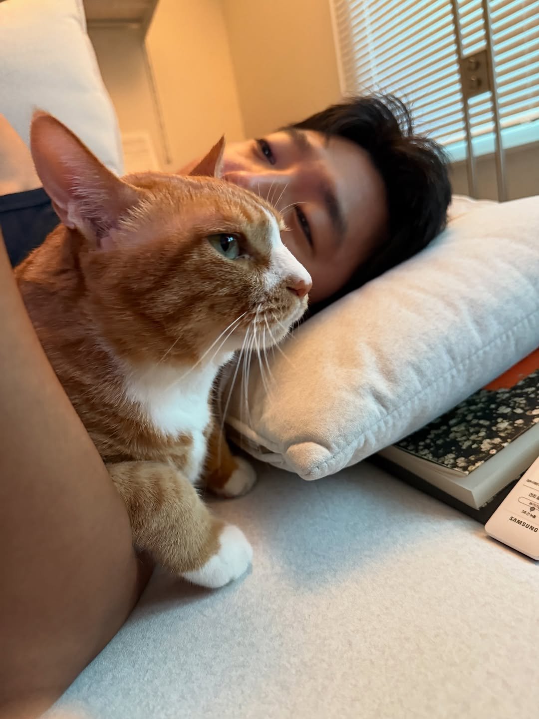 Photo by 냐뮤 on August 14, 2025. May be an image of 1 person, sleeping, Abyssinian cat, kitten and text.