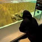 hwan._e7 프로필 사진