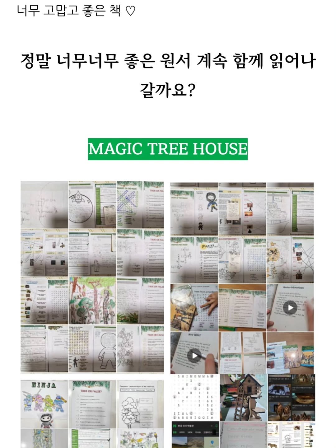 nana_laoshi_ 게시물 이미지: 원서 읽으면서 가장 큰 획을 그어준 책💖 
바로 《Magic Tree...
