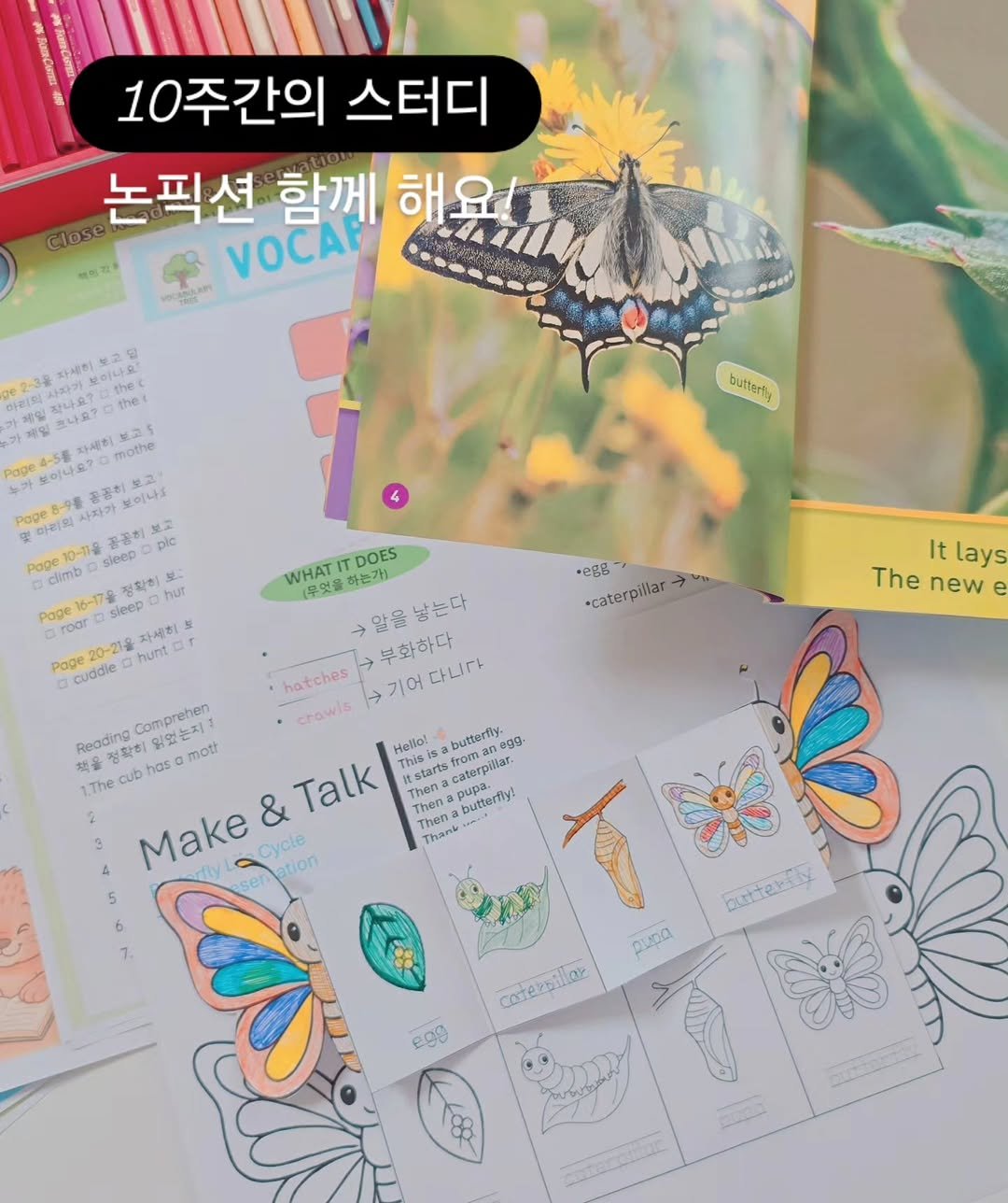 Photo by 나나샘 on September 21, 2025. May be an image of book and text that says '10주간의 스터디 논픽션 함께 해물/재까 해요! Close VOCAP 이음 ther mothe 사자가 bultarts pic 정작히 hur Pope16 *egg *caterpillar It lays The new e WHAT (무엇을 하는가 DOES 말을났는다 낳는다 앞을 부화하다 다니다 cuddie hatches >기어다니과 기어 Comprehen crowls Reading 정착하 cub 25C moth butterti 라림을 LThe & Talk Hello! Thisis TI Thena Thena Make ation hena butterfly? Thena Thank Cycle DTErI즈 puca catersillaz ege'.