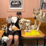 ynncook 프로필 사진