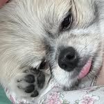 y_haa.n 프로필 사진