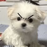 kimkyounghwan_ 프로필 사진