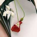 yoonookim 프로필 사진