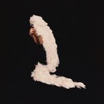 wowjang 프로필 사진