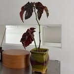 choieunmi8mimi 프로필 사진