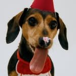 changsiyeong 프로필 사진