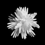 taylor_in_wonderland_ 프로필 사진