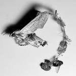 yourddoris 프로필 사진