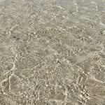 _andomina_ 프로필 사진