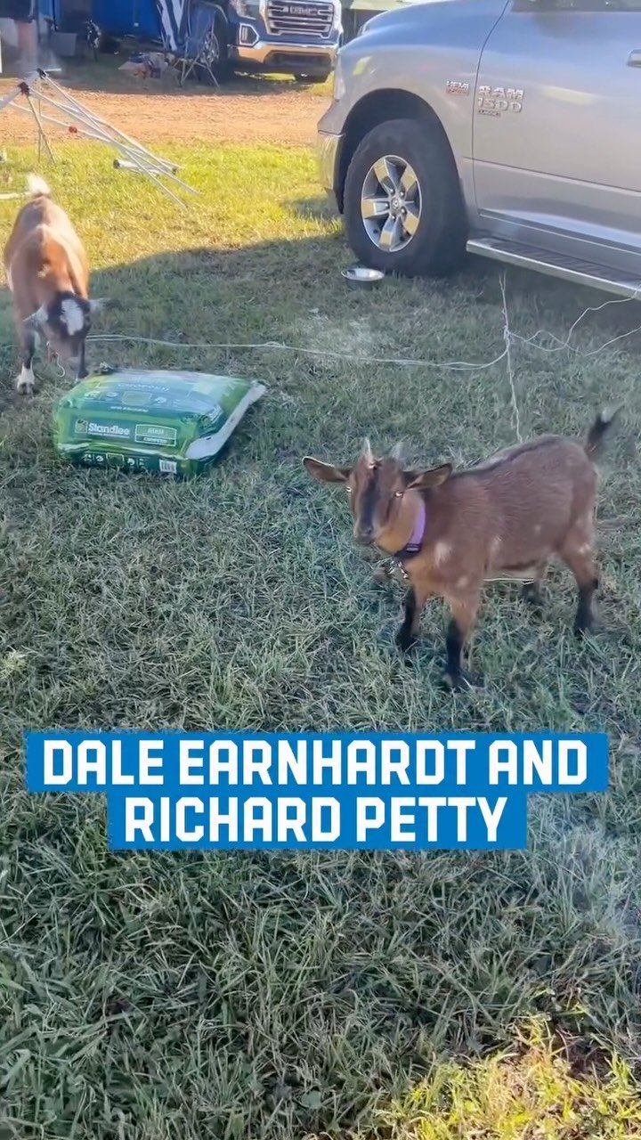 nascar 게시물 이미지: Just two GOATs hanging out in @talladega. 😅