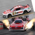 mql_racing 프로필 사진