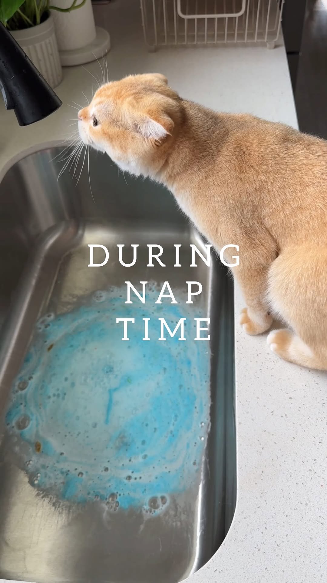 natalia.be.be 게시물 이미지: The @dreame.usa vacuum has been with me for...