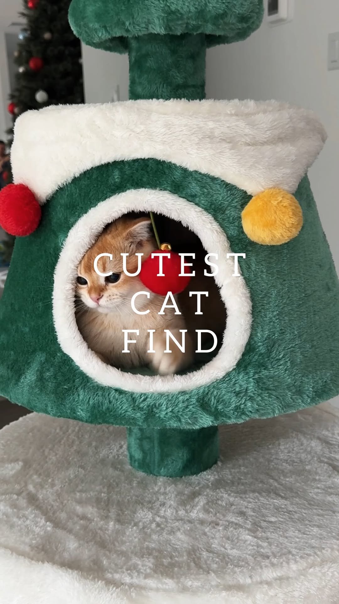 natalia.be.be 게시물 이미지: Comment cat for the link 🐾
✨ You can get 20%...