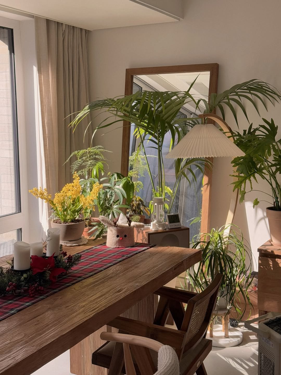 Photo by 나타샤블루(한민경) on December 28, 2025. May be an image of table, house plant, kitchen table, dining table, mistletoe cactus, indoors and text.