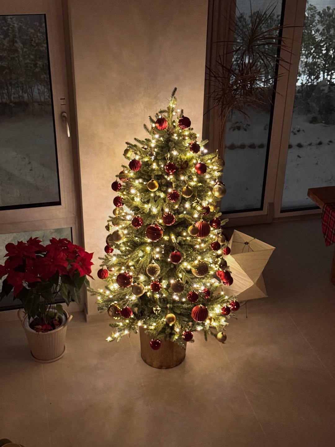 Photo by 나타샤블루(한민경) on December 05, 2025. May be an image of christmas tree and tinsel.