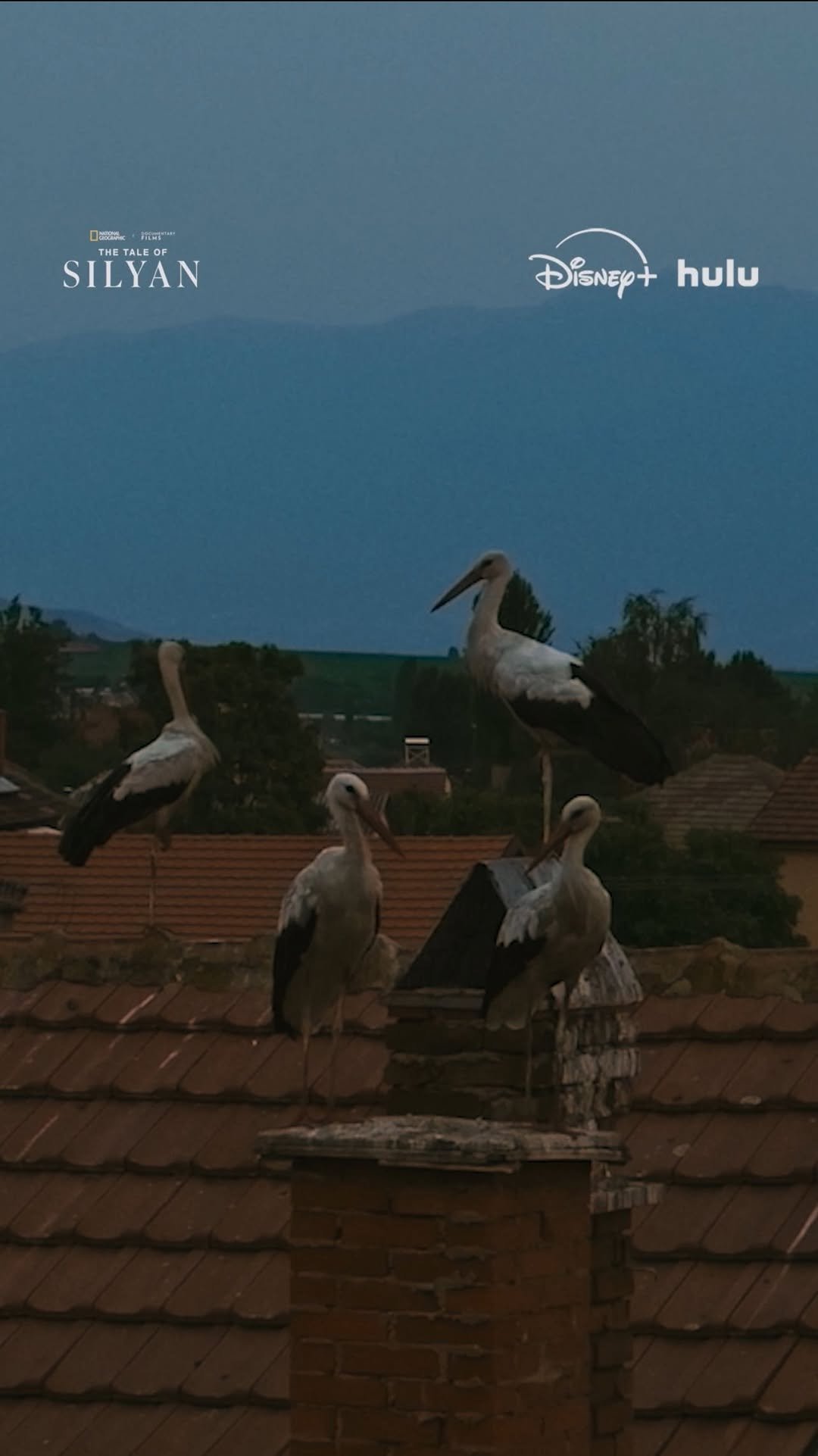 natgeotv 게시물 이미지: North Macedonia is home to wide valleys,...