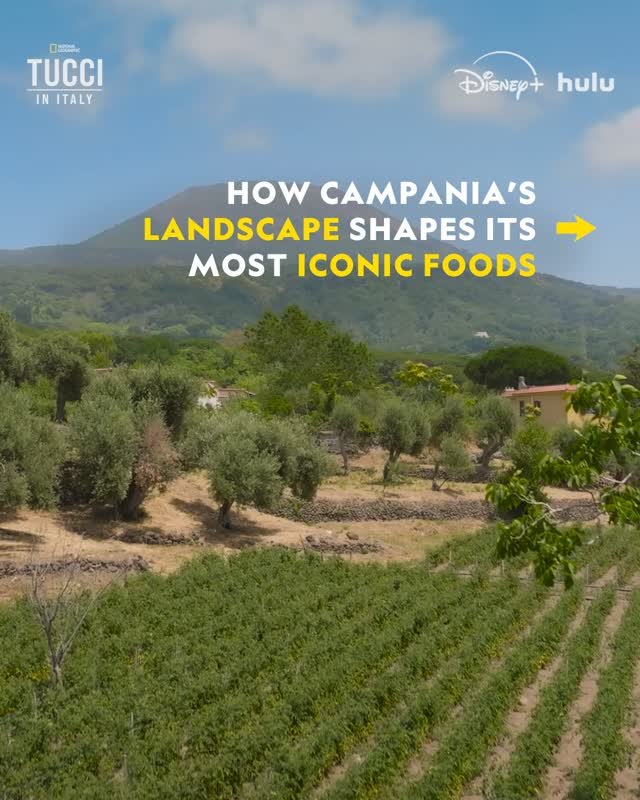 natgeotv 게시물 이미지: Beyond its sheer beauty, Campania's landscape...