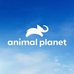 animalplanet 프로필 사진