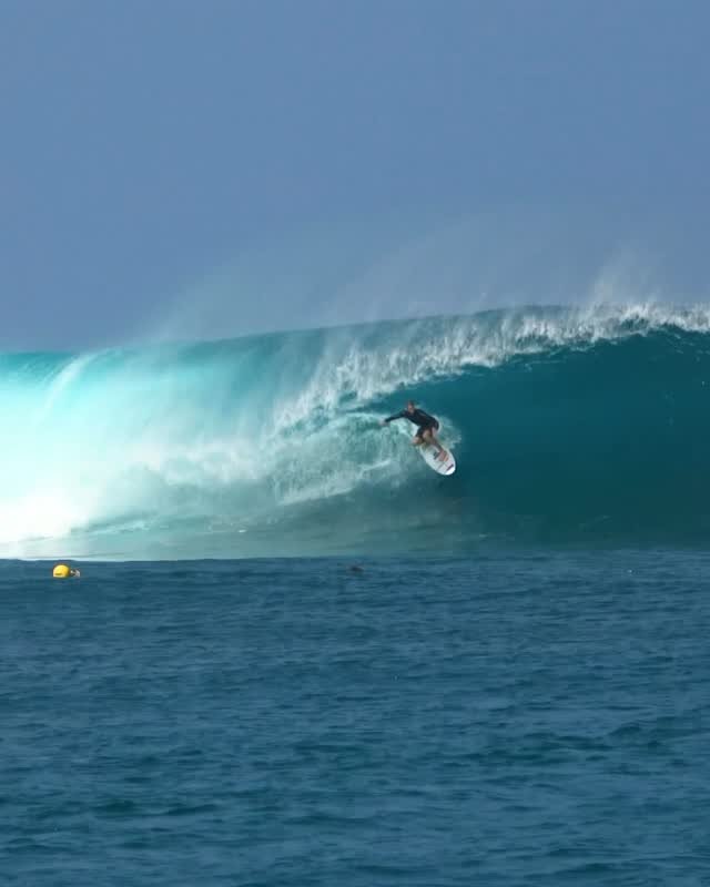 nathan_florence 게시물 이미지: The storm sent some treasures! Thanks to the...