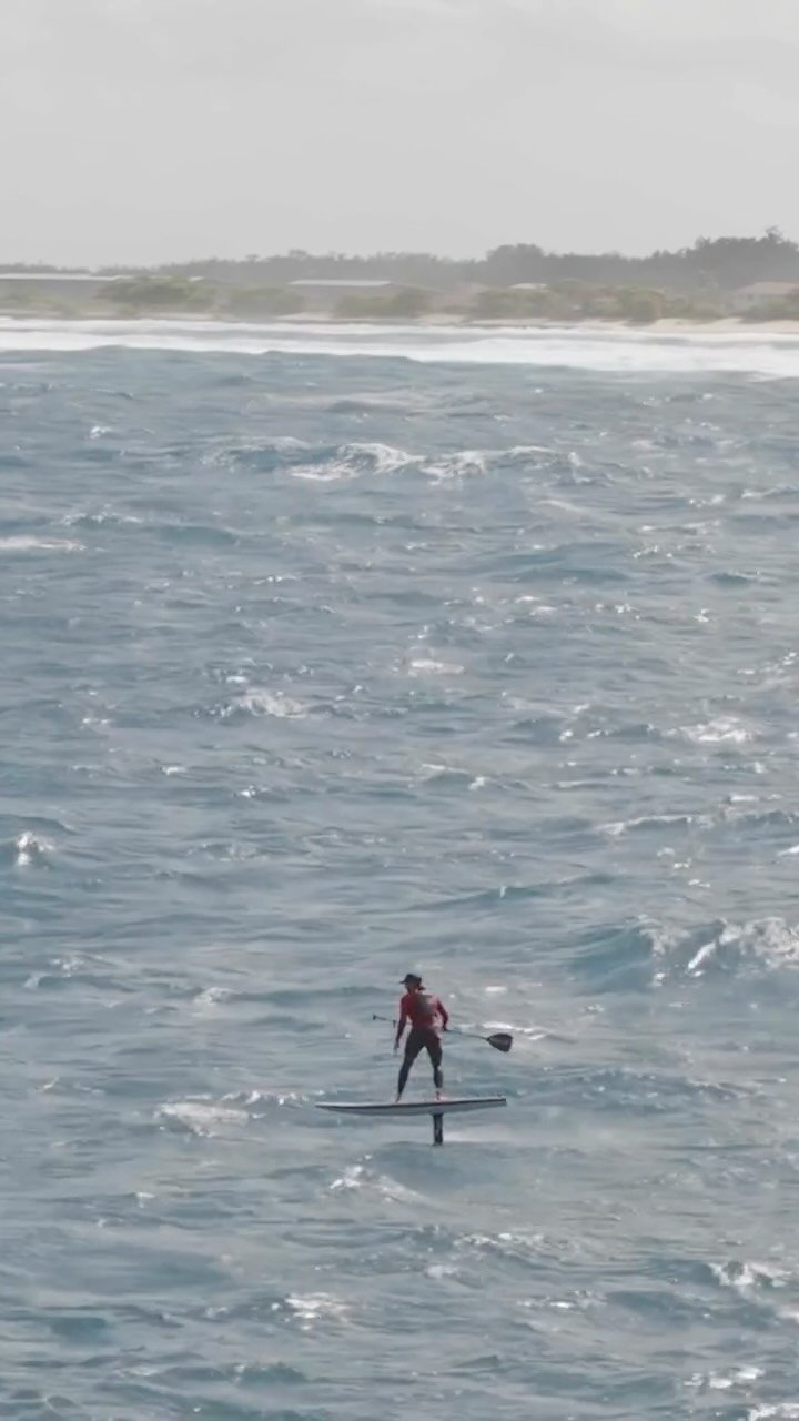 nathan_florence 게시물 이미지: @nathan_florence loyal to the foil. An excerpt...
