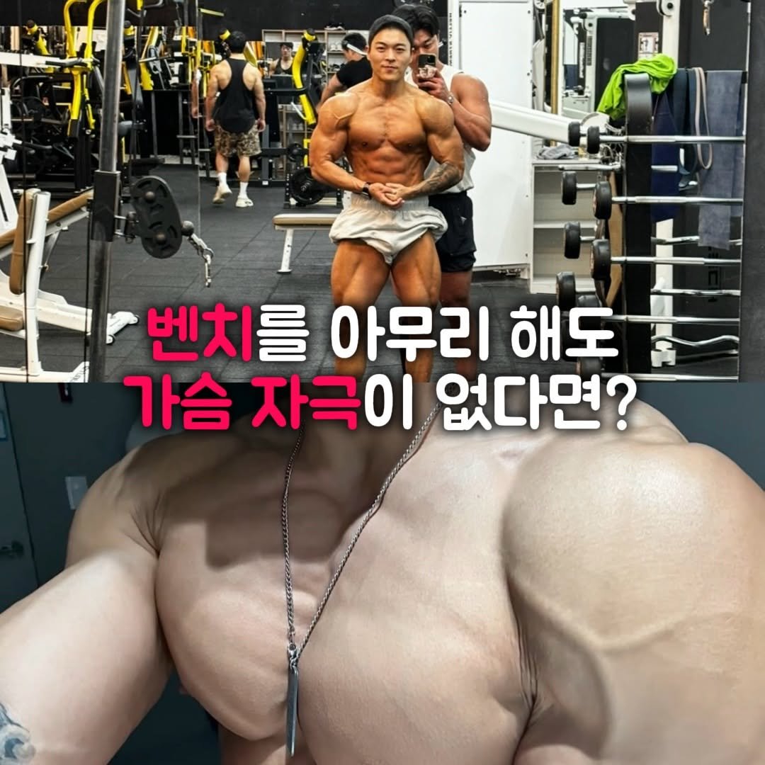 natural__su 게시물 이미지: .
아무리 몸이 좋아져도 
두번째 사진처럼 가슴이 비어있다면 간지가 안...