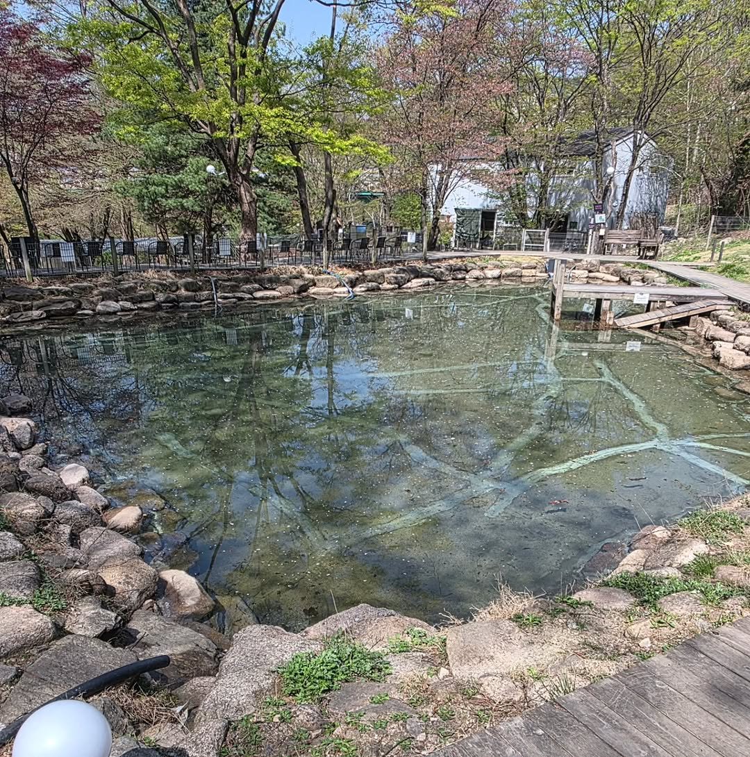 Photo by NATUREDOG 네이처독 애견카페 in 네이처독. May be an image of body of water and text.