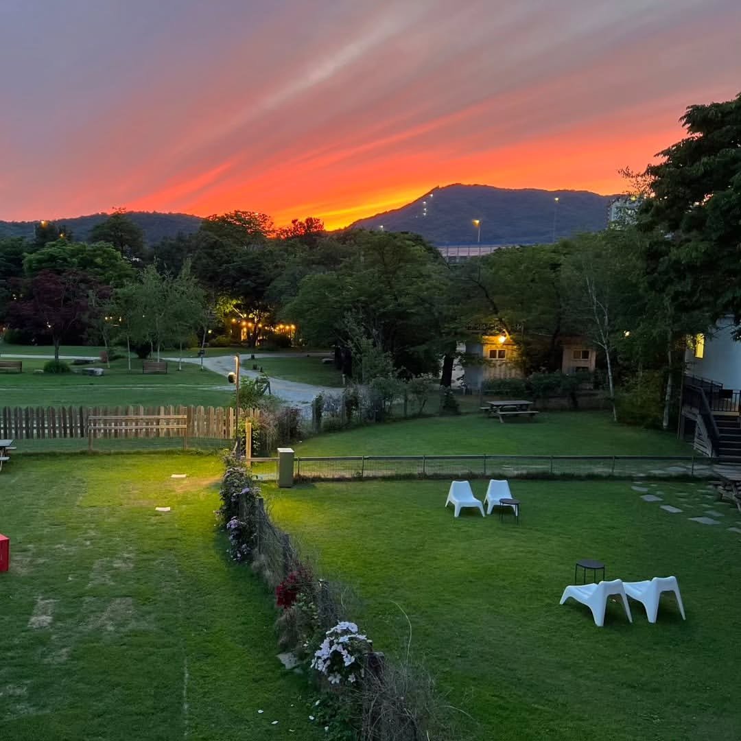 Photo by NATUREDOG 네이처독 애견카페 in 네이처독.