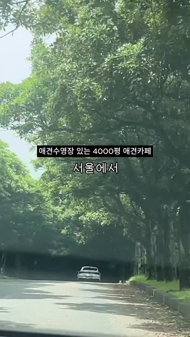 naturedog.official 게시물 이미지: 와.. 경기도 최대규모(4천평) 천연잔디 애견카페 실존

📍네이처독
[경기 양주시...