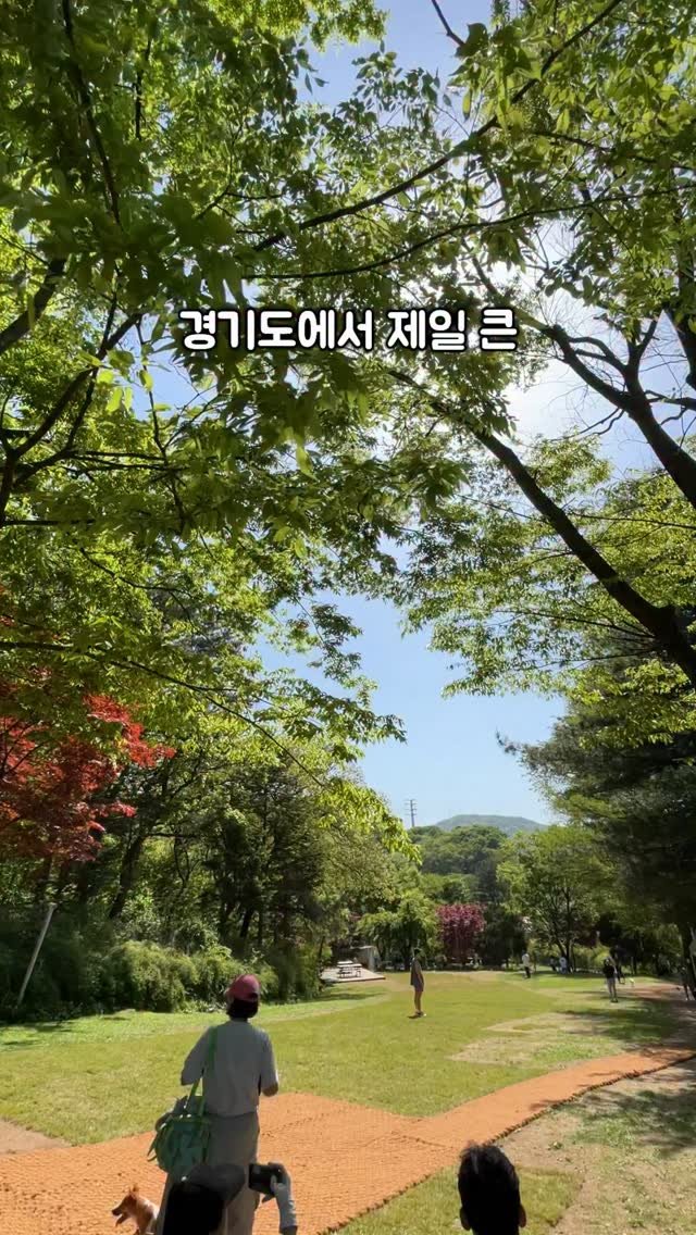 naturedog.official 게시물 이미지: 댕댕이보다 내가 더 신나는 4천평 애견카페🔥

📍네이처독
[경기 양주시 장흥면 호국로...