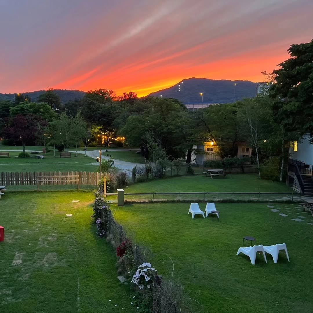 Photo by NATUREDOG 네이처독 애견카페 in 네이처독.