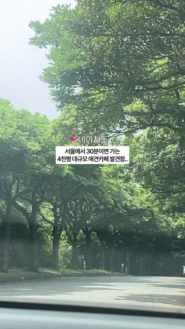 naturedog.official 게시물 이미지: #네이처독
[경기 양주시 장흥면 호국로 550번길 107]
✅ 월-일 11:00 -...