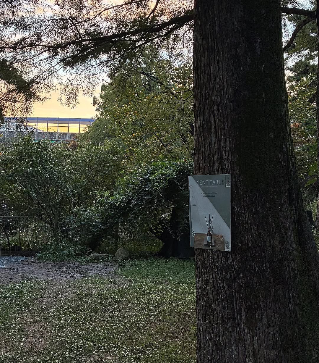 Photo shared by 자체제작 천연아로마 디퓨저 센트테이블(scent  table) : a Natural aroma diffuser on November 13, 2025 tagging @naturedog.official. May be an image of park and text.