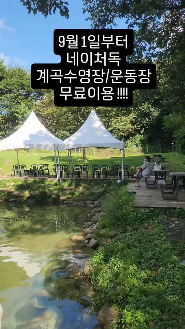 naturedog.official 게시물 이미지: 
