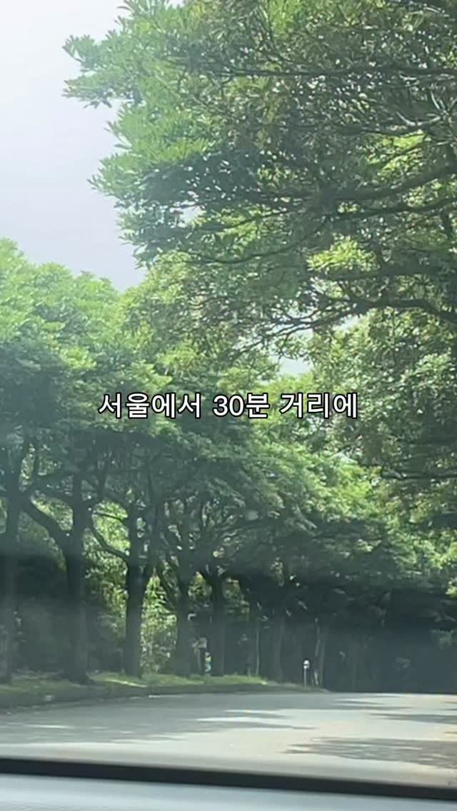 naturedog.official 게시물 이미지: 4천평 축구장만한 애견카페 찾음

📌네이처독
[경기 양주시 장흥면 호국로 550번길...