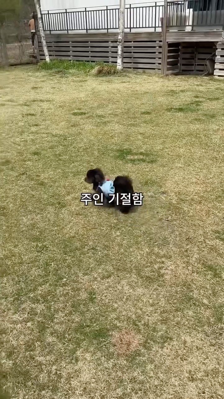 naturedog.official 게시물 이미지: 여긴 사실 아무도 몰랐으면 좋겠어요 
제 최애 애카 <네이처독> 입니다...