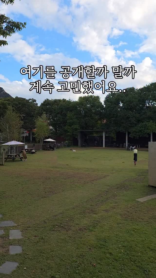 naturedog.official 게시물 이미지: 서울에서 30분
4000평 애견카페 찾았어요

[📍네이처독 - 경기 양주시 장흥면...