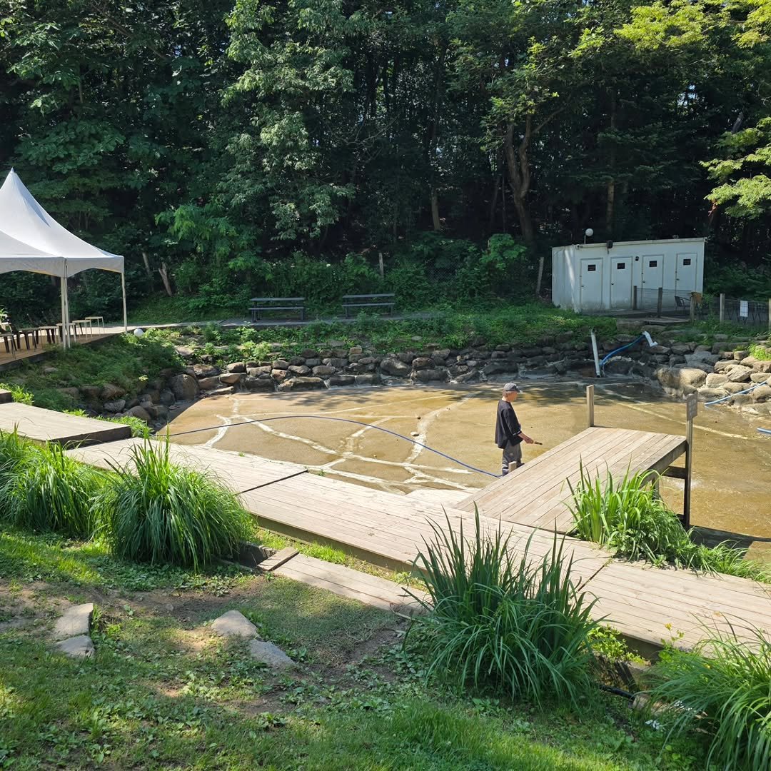 naturedog.official 게시물 이미지: 네이처독입니다
네이처독 수영장은 매주 화요일에 정기 청소를 진행함니다.
때문에...