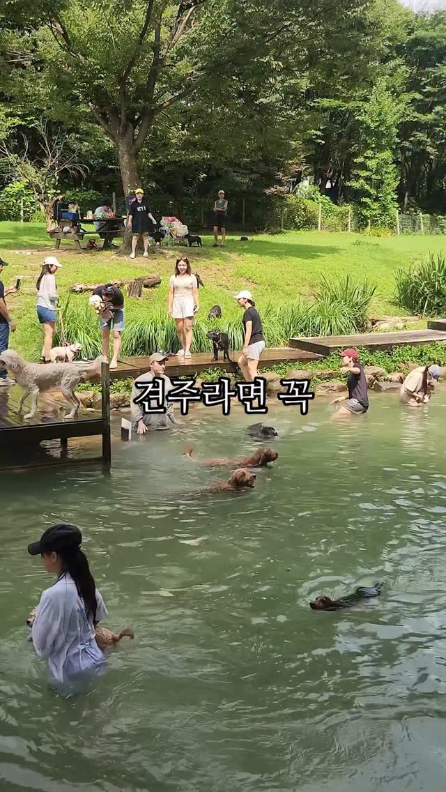 naturedog.official 게시물 이미지: 견주인데 여기모르면 간첩임 무조건

📍네이처독
(경기 양주시 장흥면 호국로 550번길...