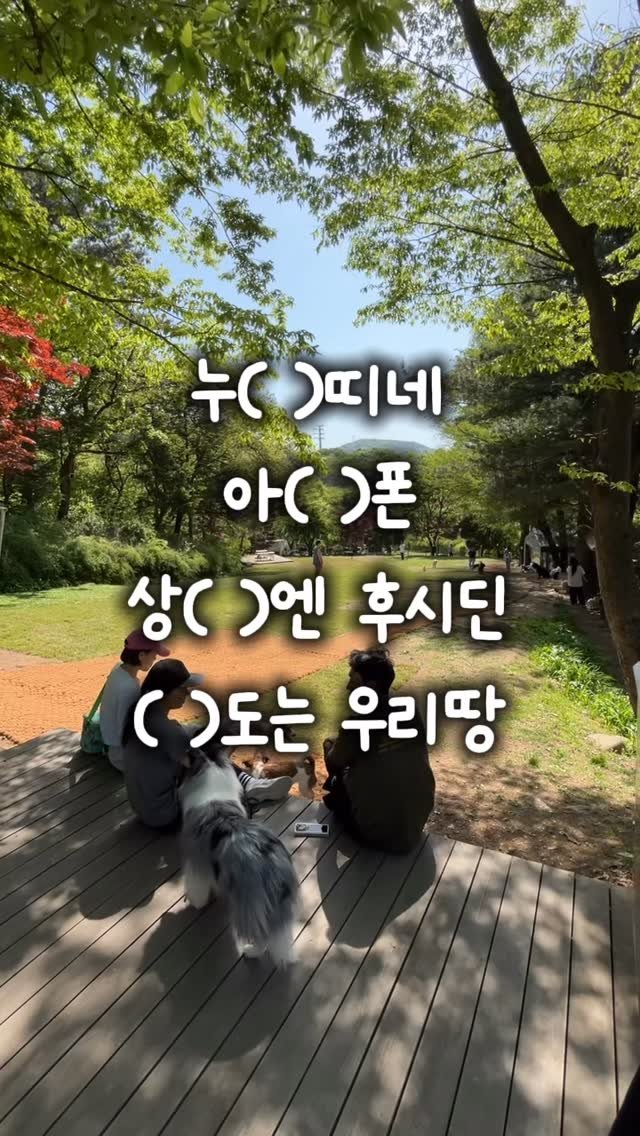 naturedog.official 게시물 이미지: 맞히면 천재 (난이도 : ⭐⭐⭐⭐)

서울에서 30분 4천평에서 뛰뛰할 강아지&견주 ...