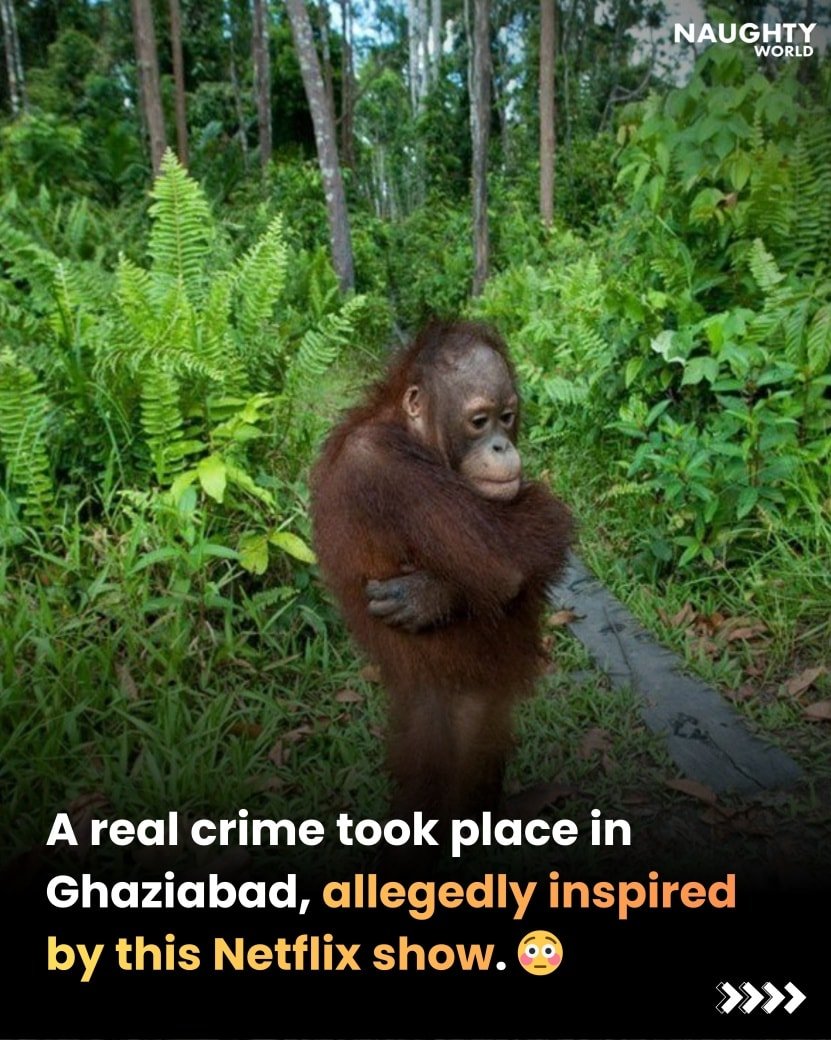 Photo by NAUGHTYWORLD on February 19, 2026. May be an image of text that says 'NAUGHTY WORLD A real crime took place in Ghaziabad, allegedly inspired by this Netflix show. >>>>'.