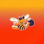 hornets 프로필 사진