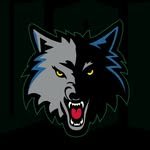 timberwolves 프로필 사진