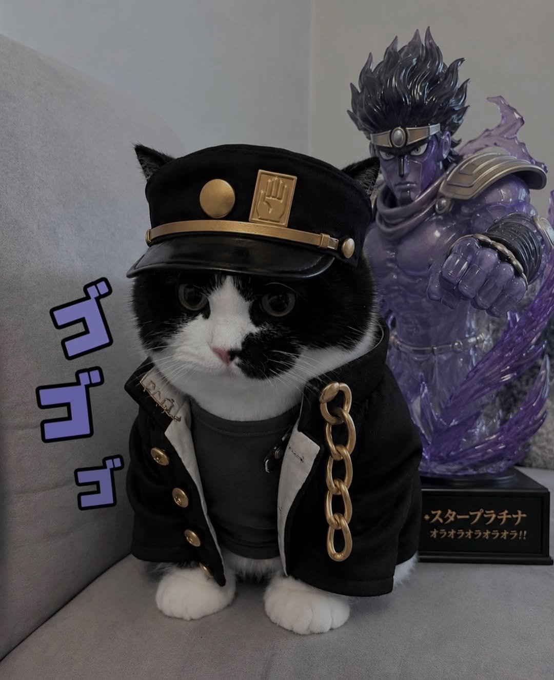 neko.chunbae 게시물 이미지: 🫵🏻