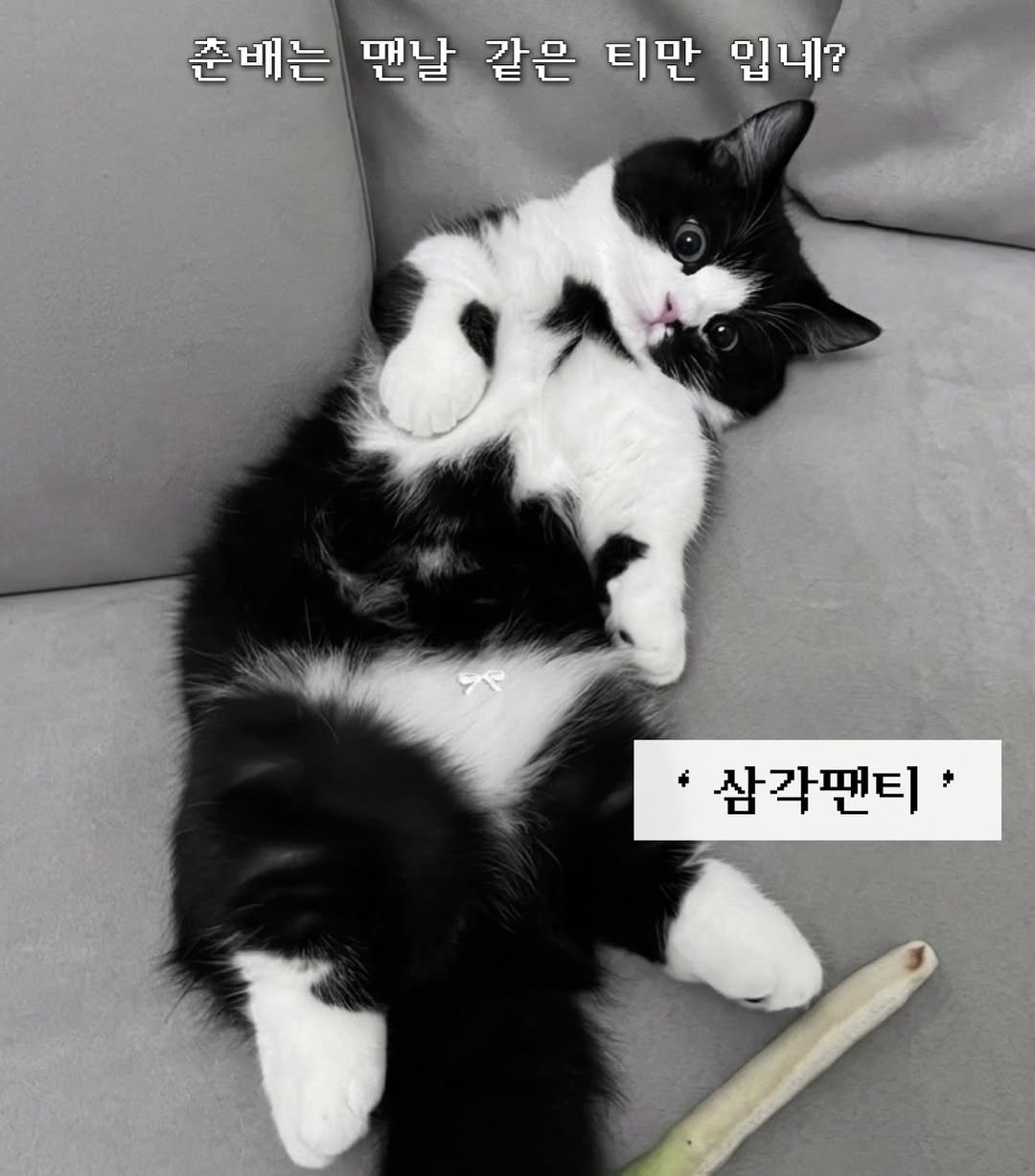 neko.chunbae 게시물 이미지: 후방주의 2탄..🥵🥵🥵🔞