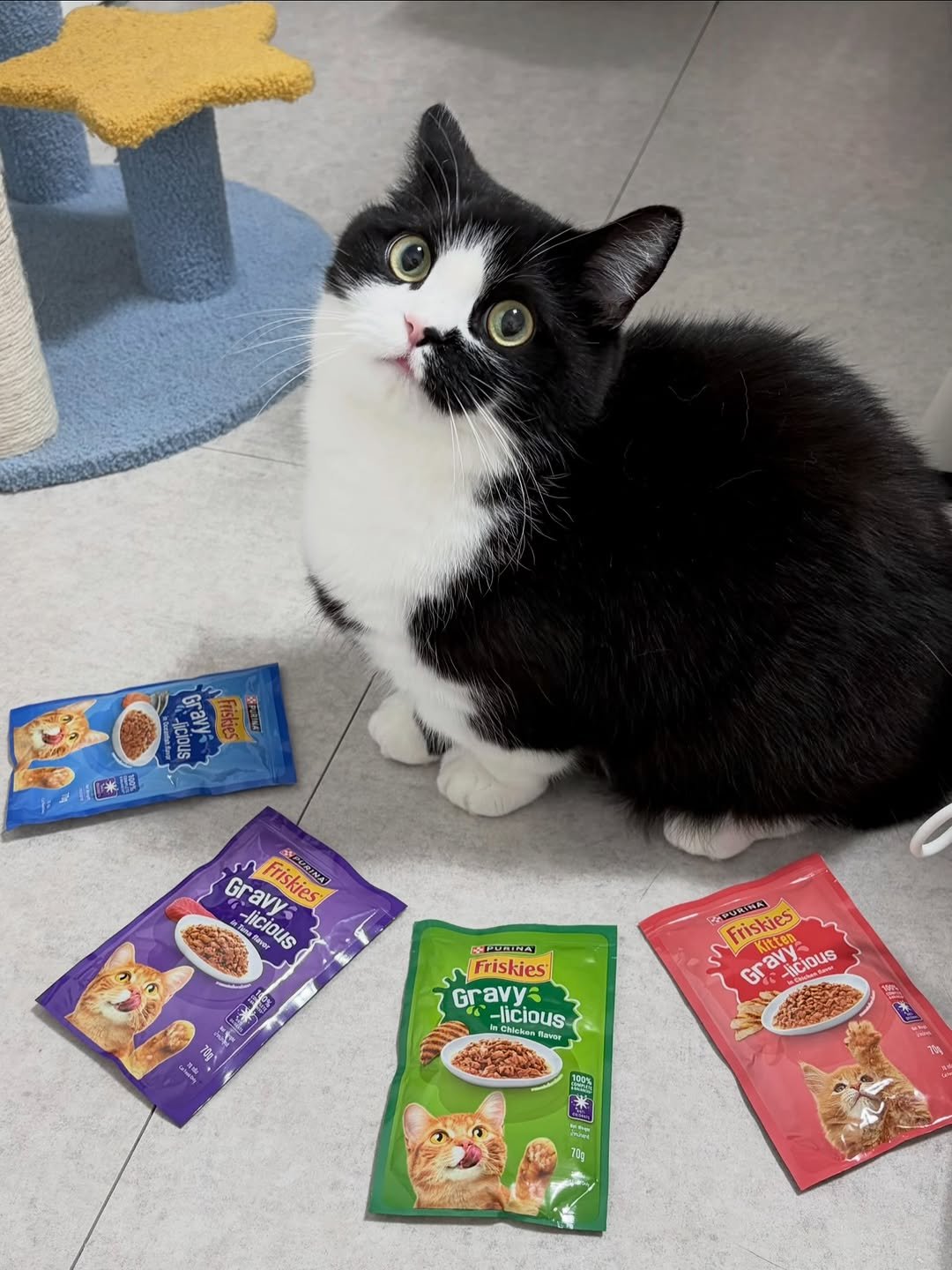 neko.chunbae 게시물 이미지: #광고 @purina_kr 매일 먹는 주식이라 영양 성분, 가격 다 꼼꼼하게...